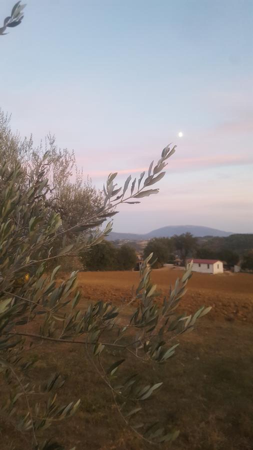 Agriturismo Villalta Ponte Felcino Luaran gambar