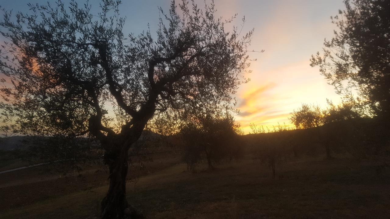 Agriturismo Villalta Ponte Felcino Luaran gambar